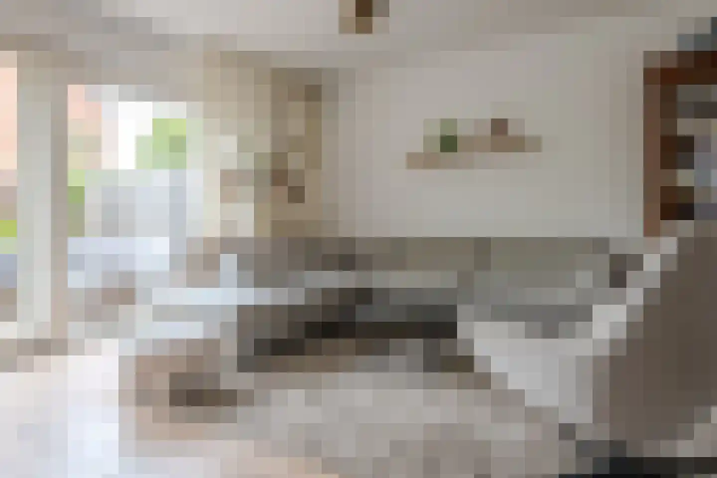 de Wellenkamp 1501 Nijmegen thumbnail 8
