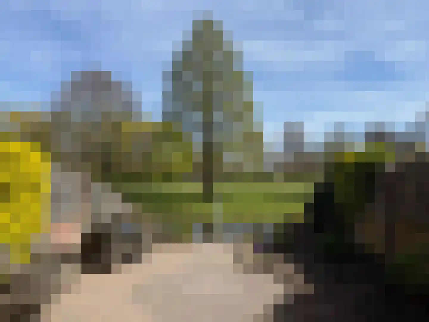 de Wellenkamp 1514 Nijmegen thumbnail 28