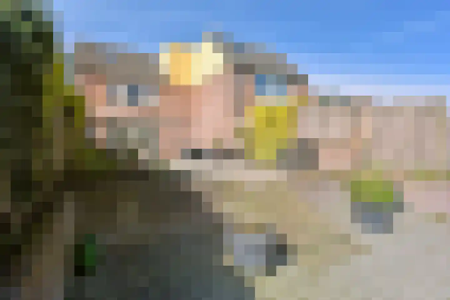 de Wellenkamp 1514 Nijmegen thumbnail 31