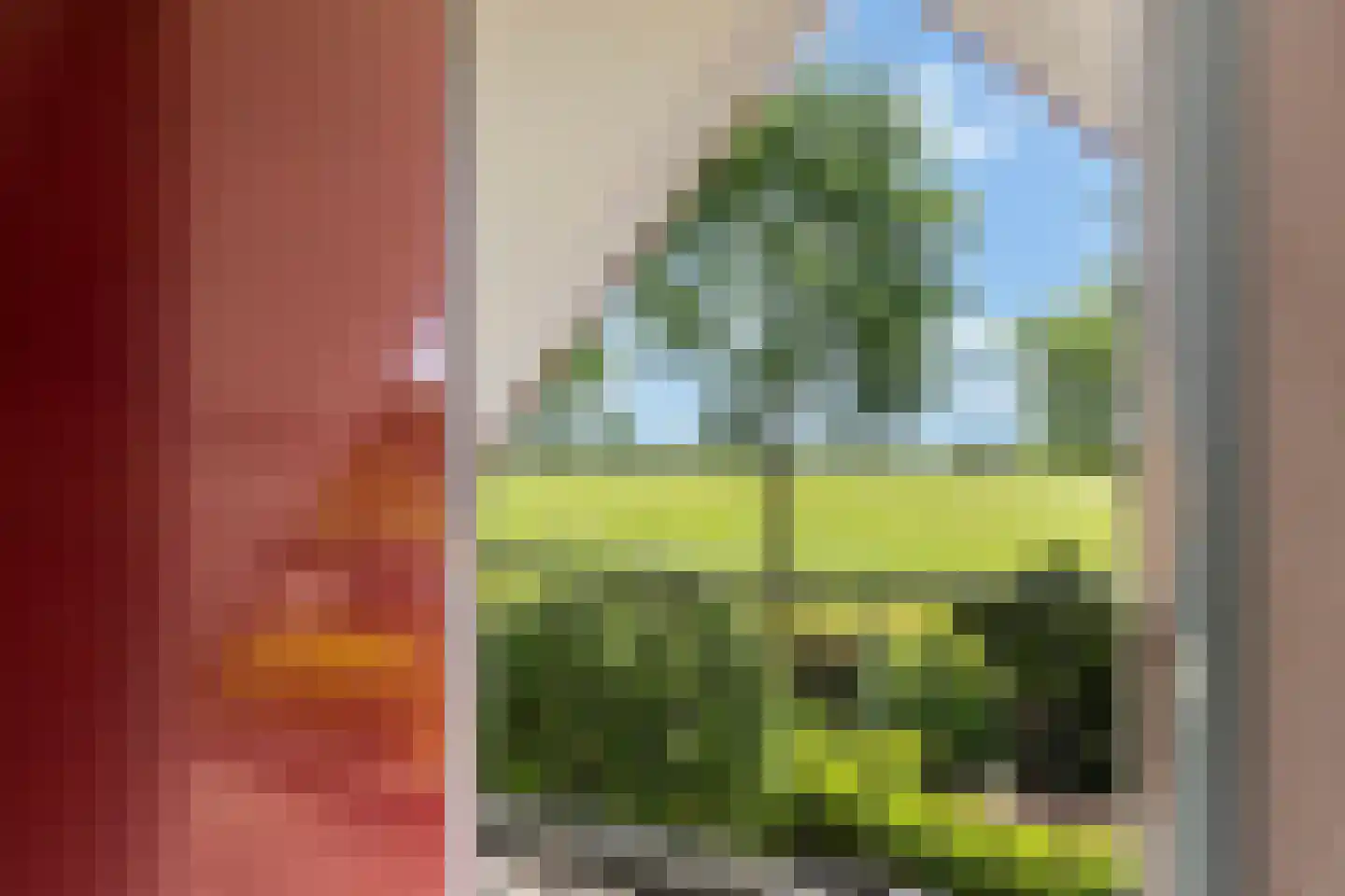 De Welvaart 23 Klarenbeek thumbnail 18