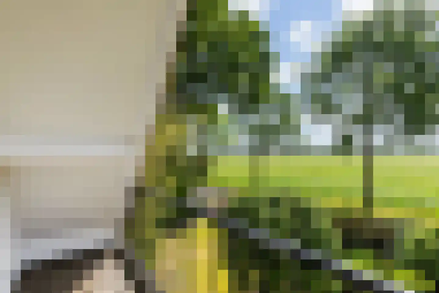 De Welvaart 23 Klarenbeek thumbnail 19