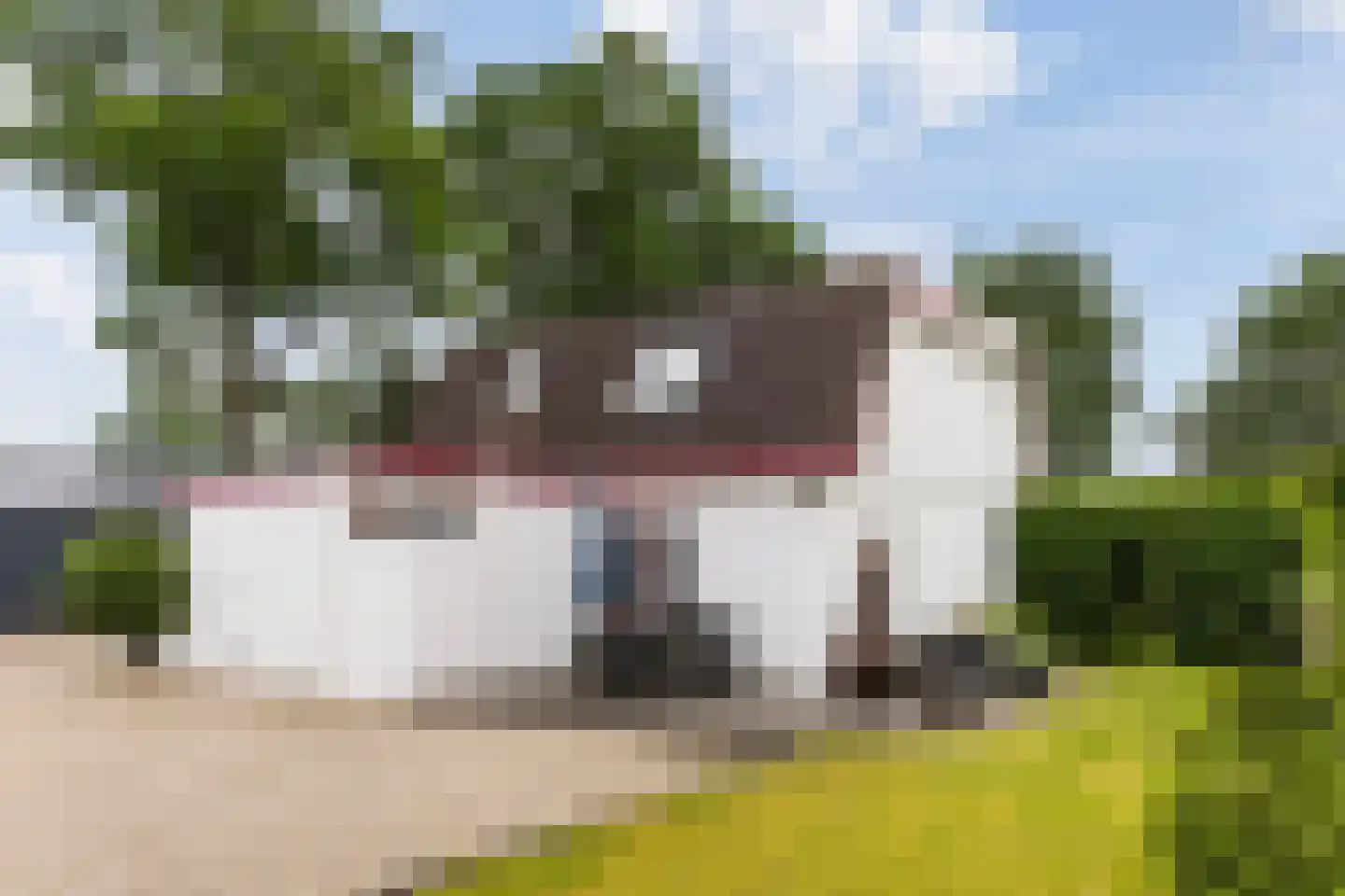 De Welvaart 23 Klarenbeek thumbnail 29