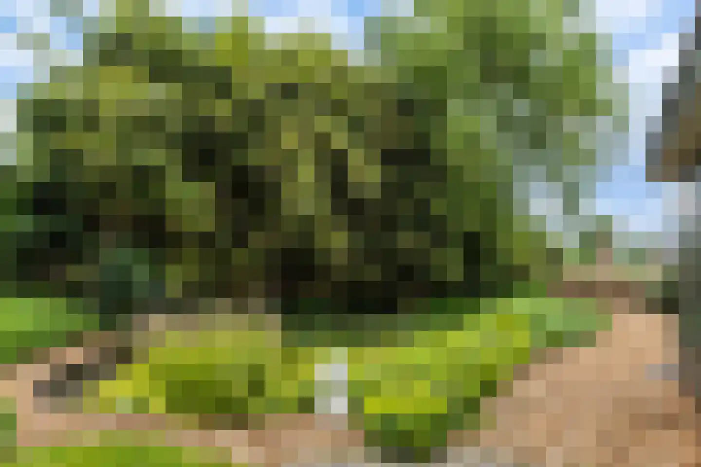 De Welvaart 23 Klarenbeek thumbnail 30