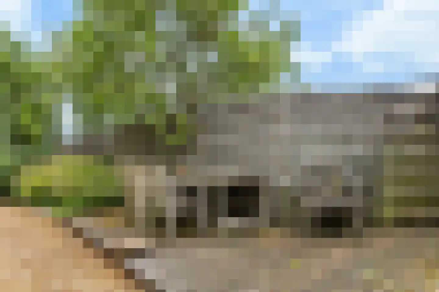De Welvaart 23 Klarenbeek thumbnail 31