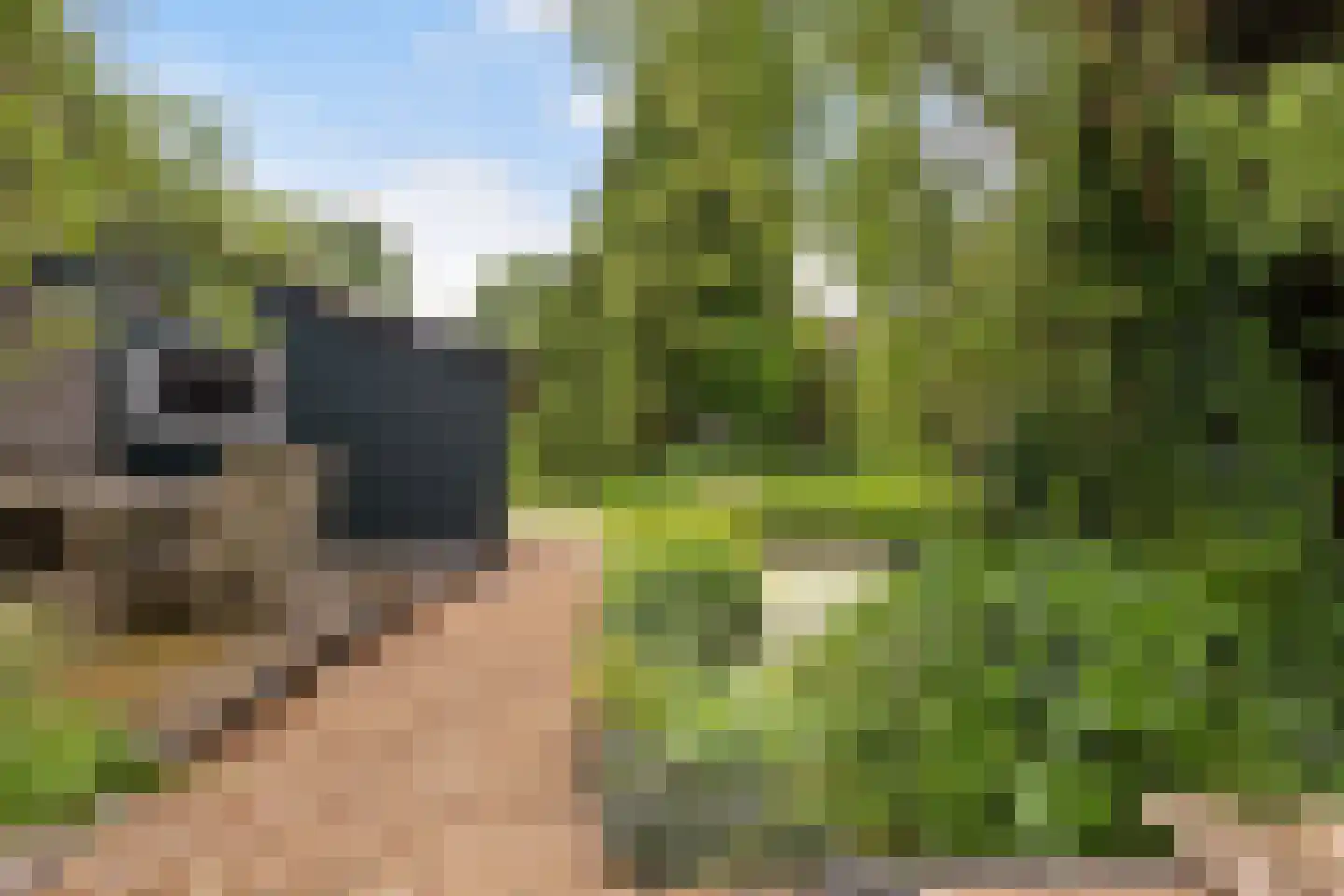 De Welvaart 23 Klarenbeek thumbnail 33