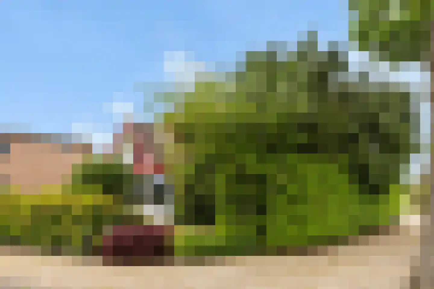 De Welvaart 23 Klarenbeek thumbnail 39