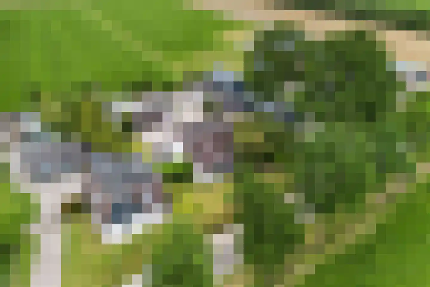 De Welvaart 23 Klarenbeek thumbnail 41