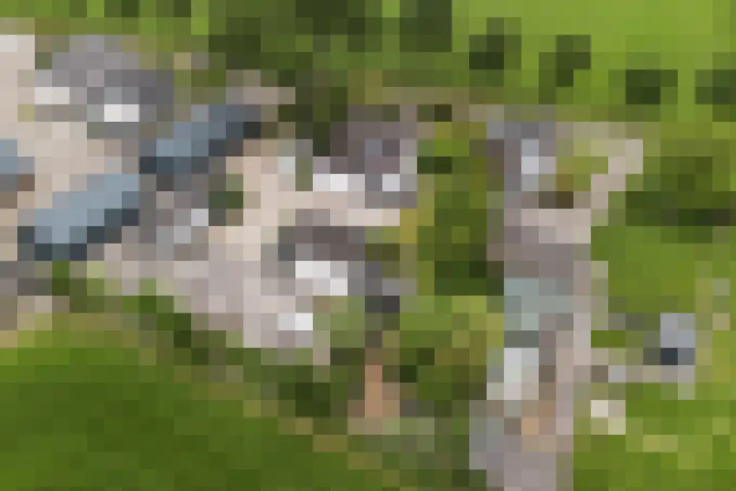 De Welvaart 23 Klarenbeek thumbnail 42