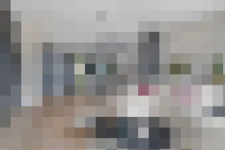 De Welving 1 Wijdewormer thumbnail 10