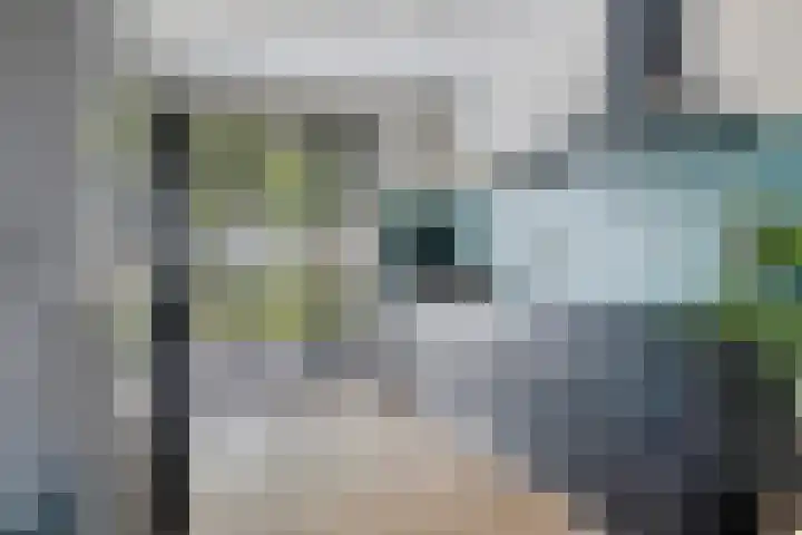De Welving 1 Wijdewormer thumbnail 13