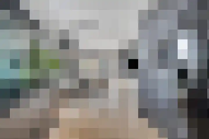 De Welving 1 Wijdewormer thumbnail 16