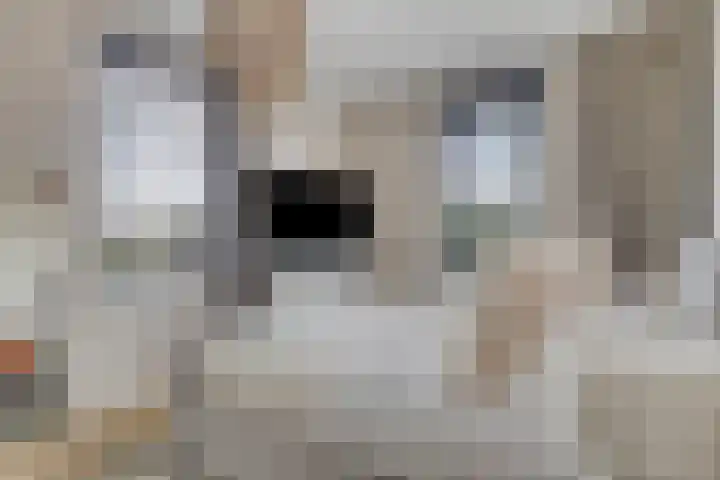 De Welving 1 Wijdewormer thumbnail 17