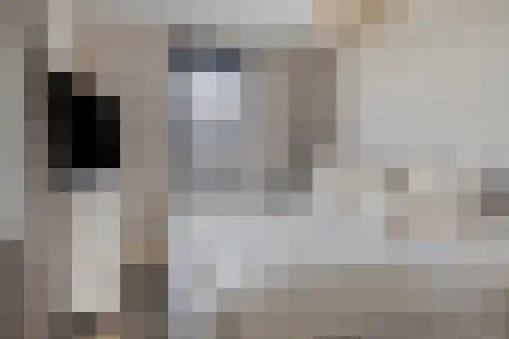 De Welving 1 Wijdewormer thumbnail 18