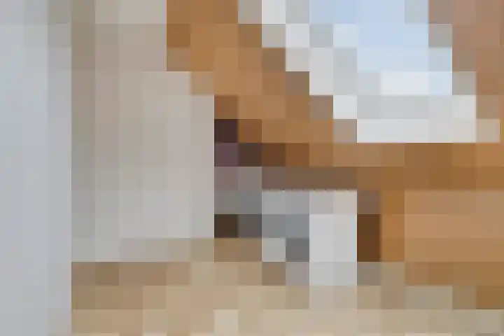 De Welving 1 Wijdewormer thumbnail 27