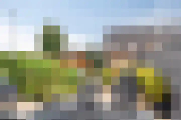 De Welving 1 Wijdewormer thumbnail 28