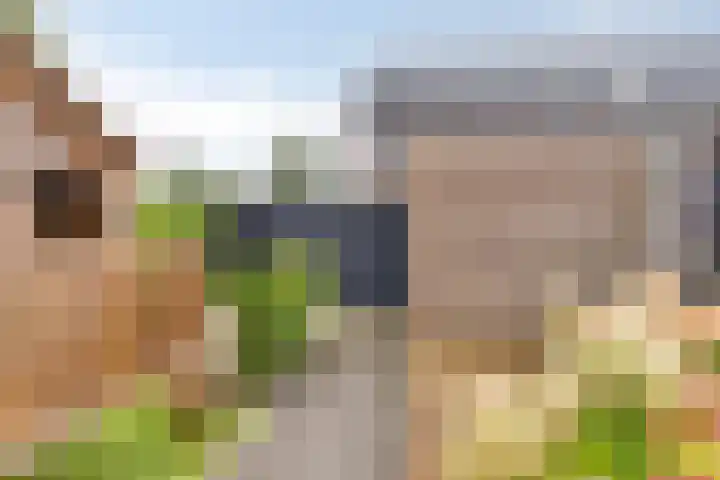 De Welving 1 Wijdewormer thumbnail 30