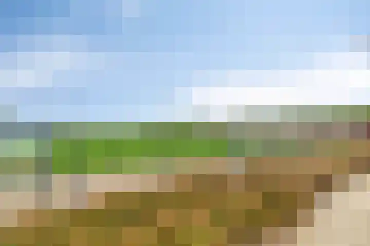 De Welving 1 Wijdewormer thumbnail 37