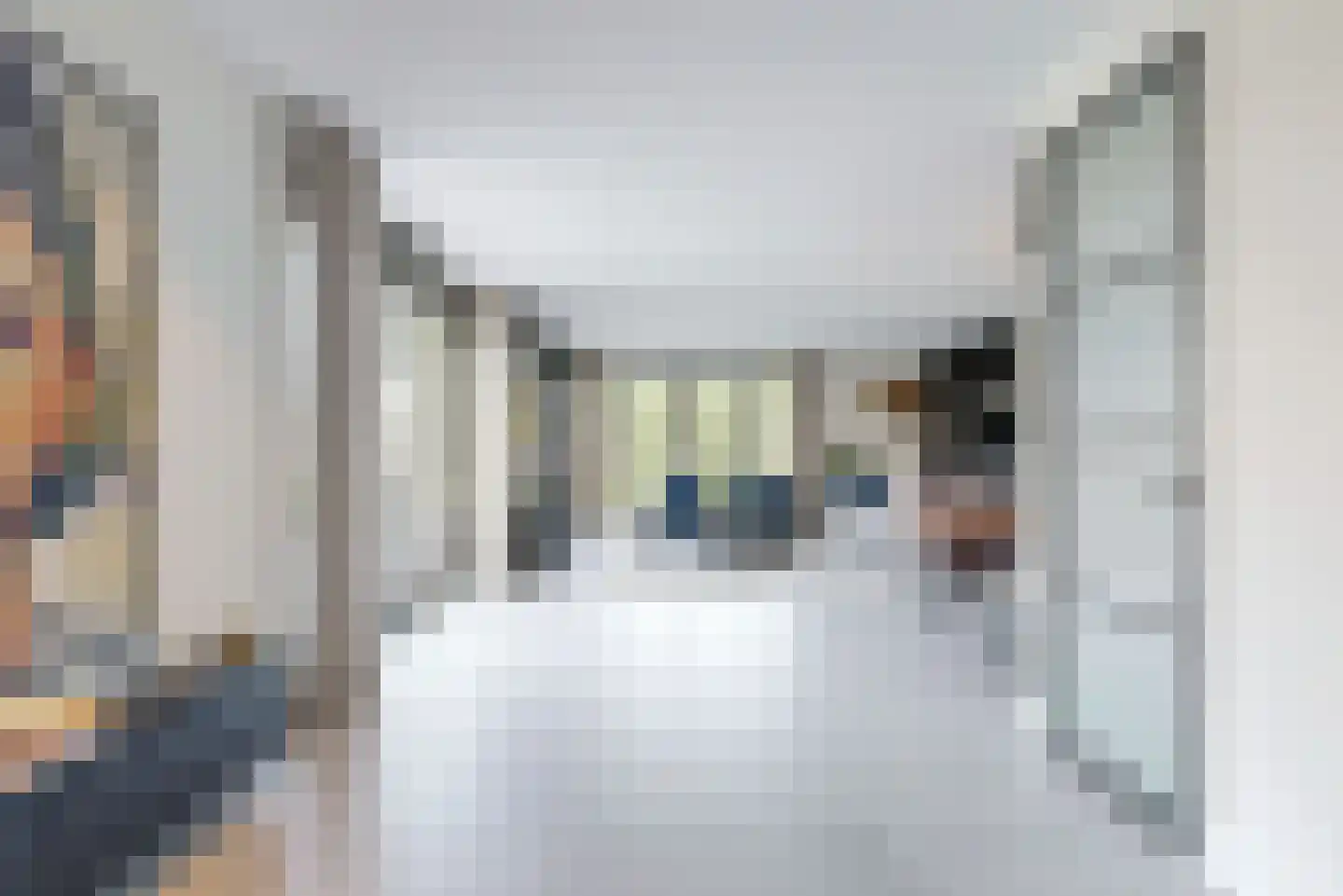 De Welving 24 Wijdewormer thumbnail 11