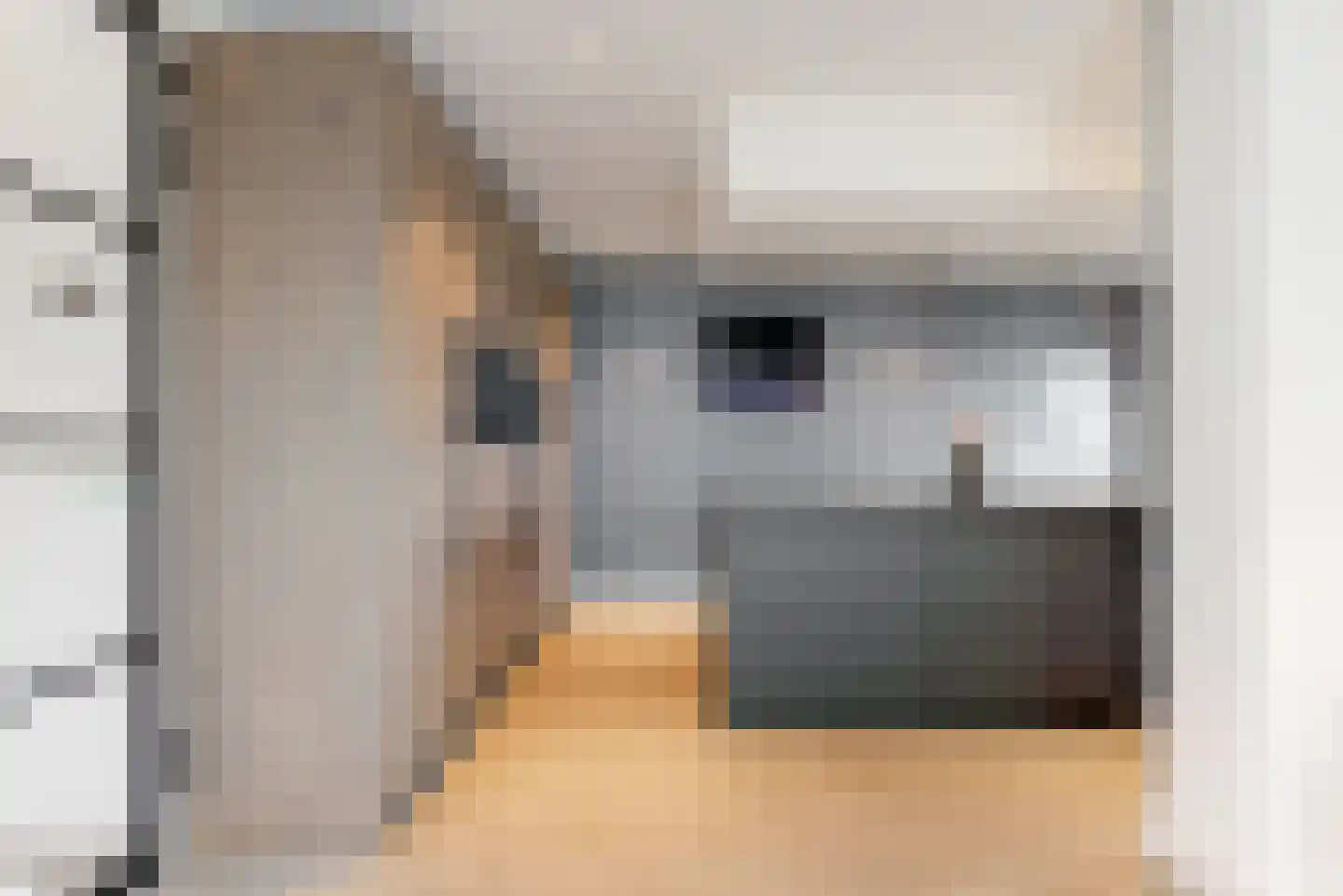De Welving 24 Wijdewormer thumbnail 13