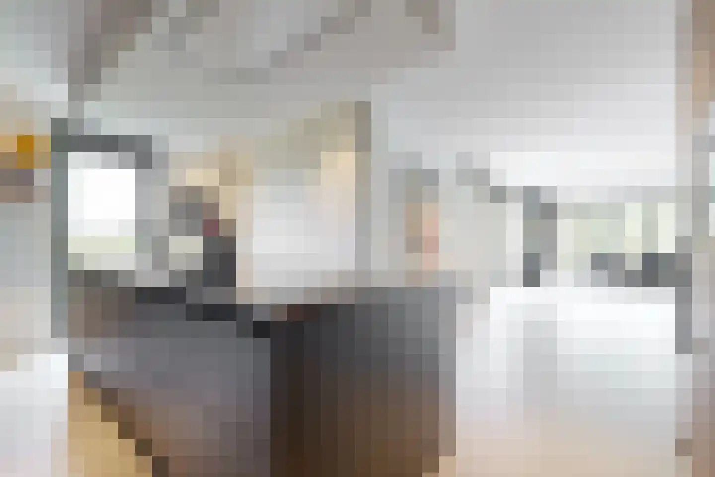 De Welving 24 Wijdewormer thumbnail 14