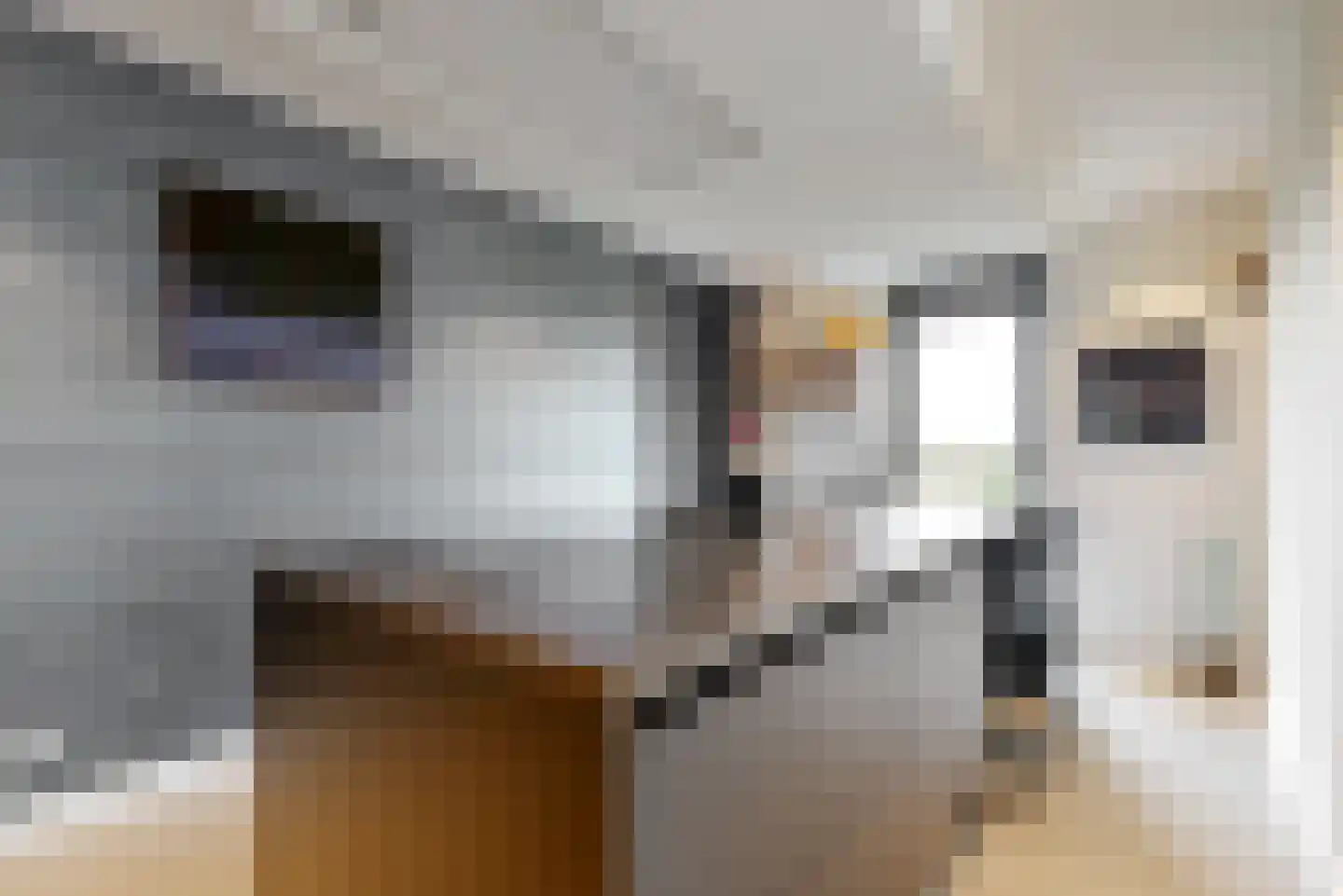 De Welving 24 Wijdewormer thumbnail 17