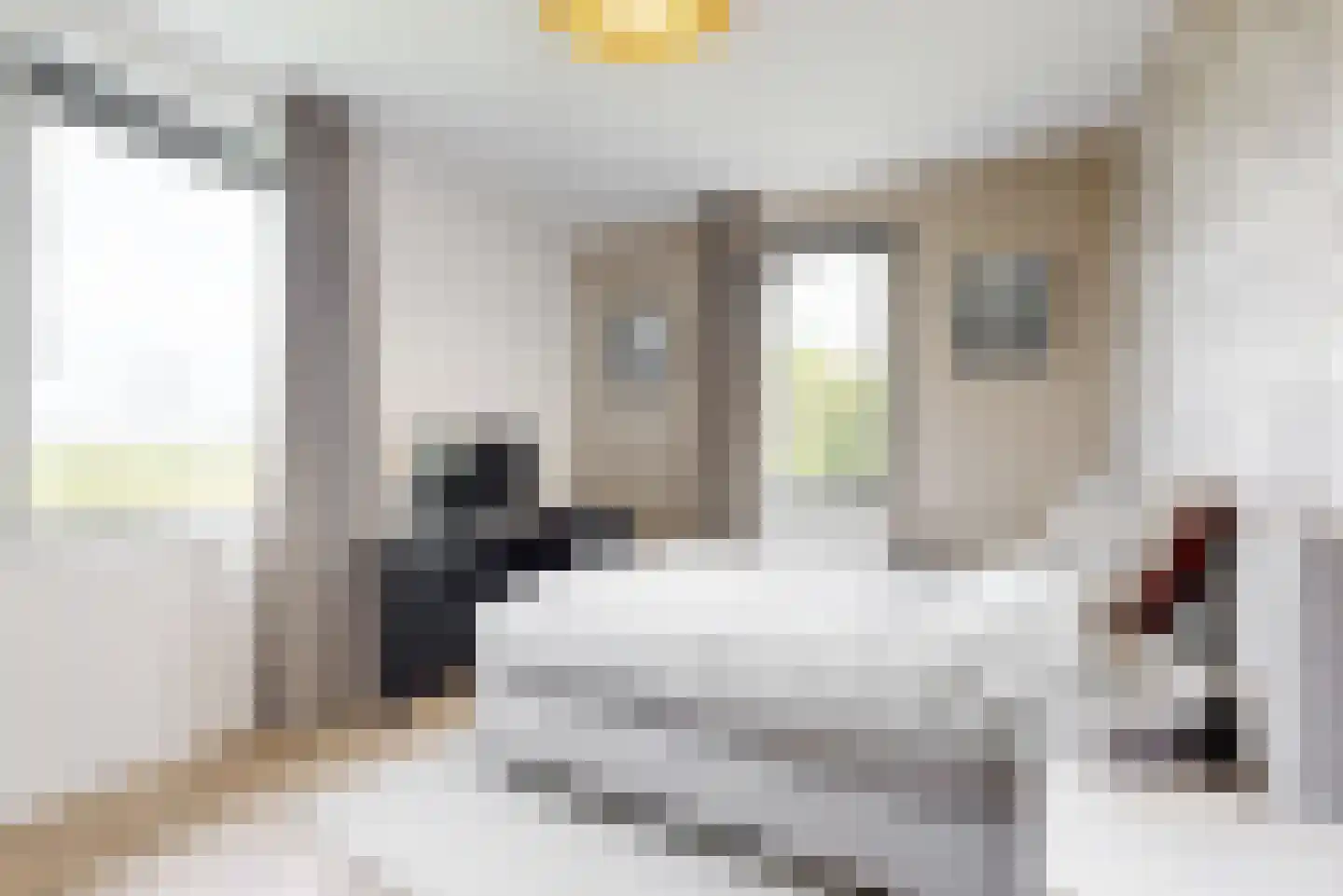 De Welving 24 Wijdewormer thumbnail 22