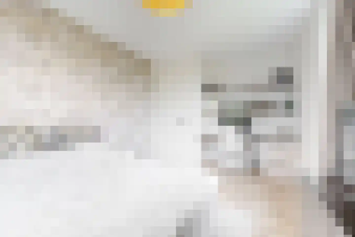 De Welving 24 Wijdewormer thumbnail 23