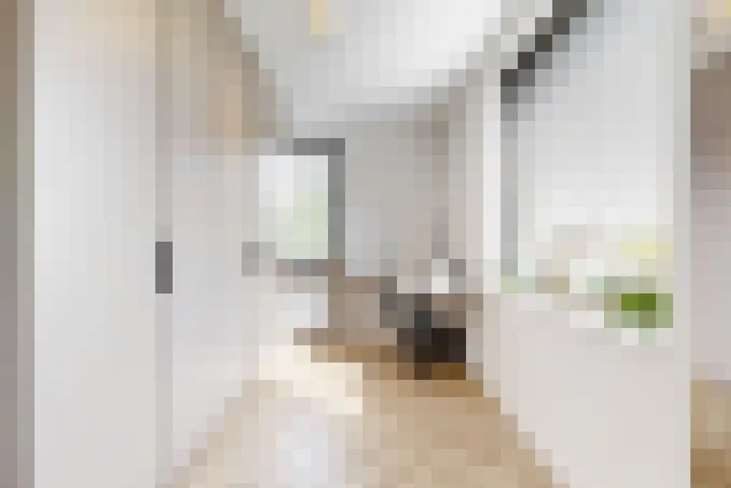 De Welving 24 Wijdewormer thumbnail 25