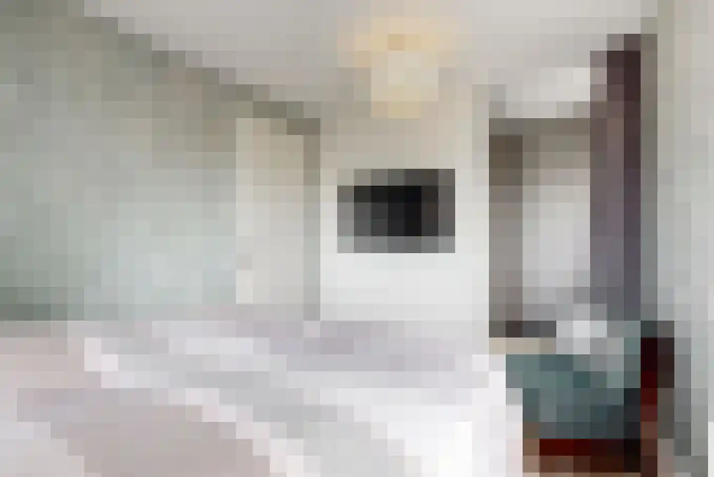De Welving 24 Wijdewormer thumbnail 29