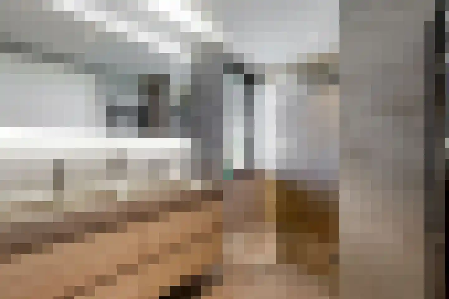 De Welving 24 Wijdewormer thumbnail 31