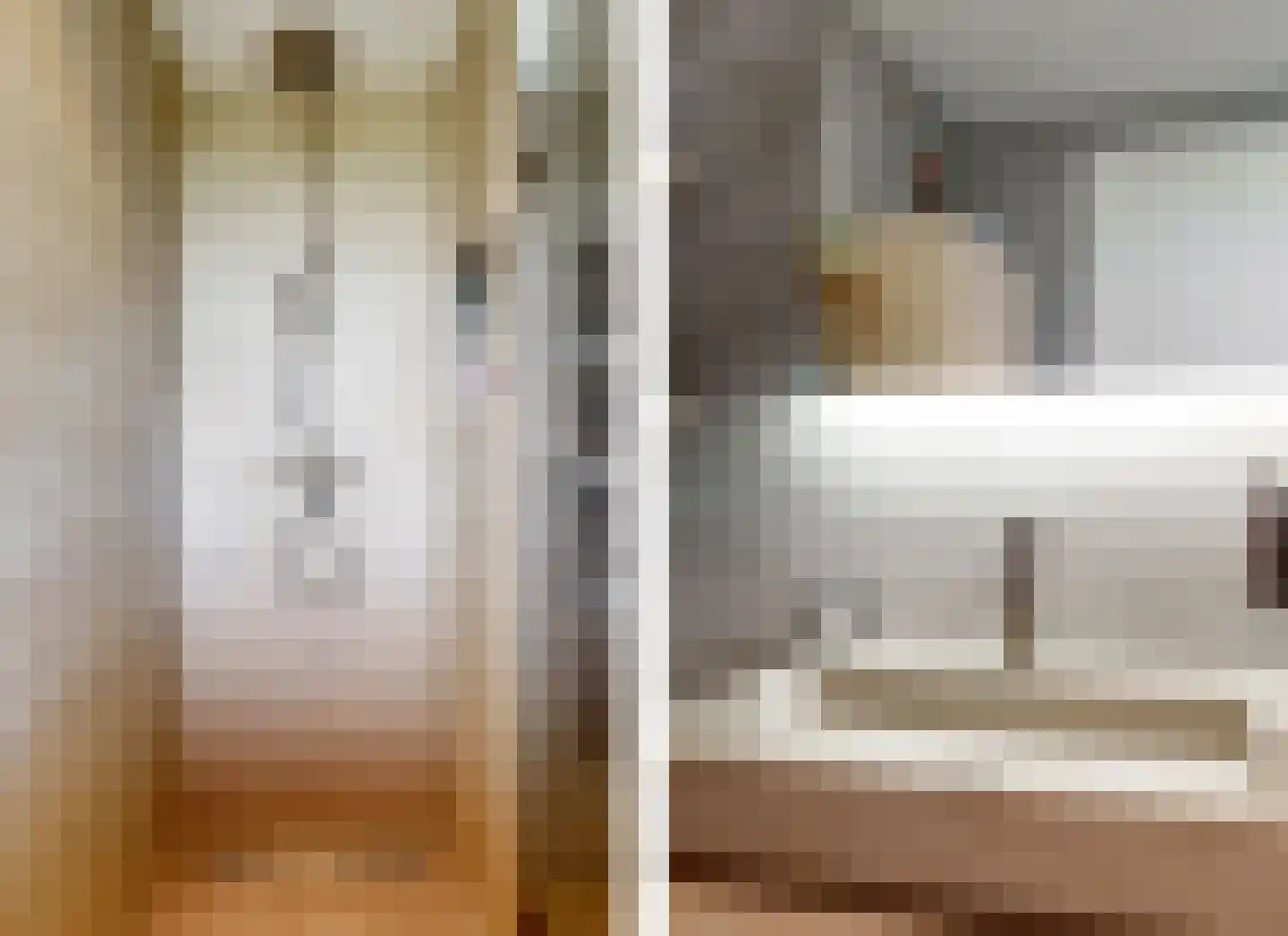 De Welving 24 Wijdewormer thumbnail 33