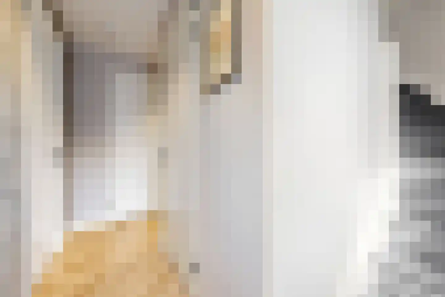 De Welving 24 Wijdewormer thumbnail 35