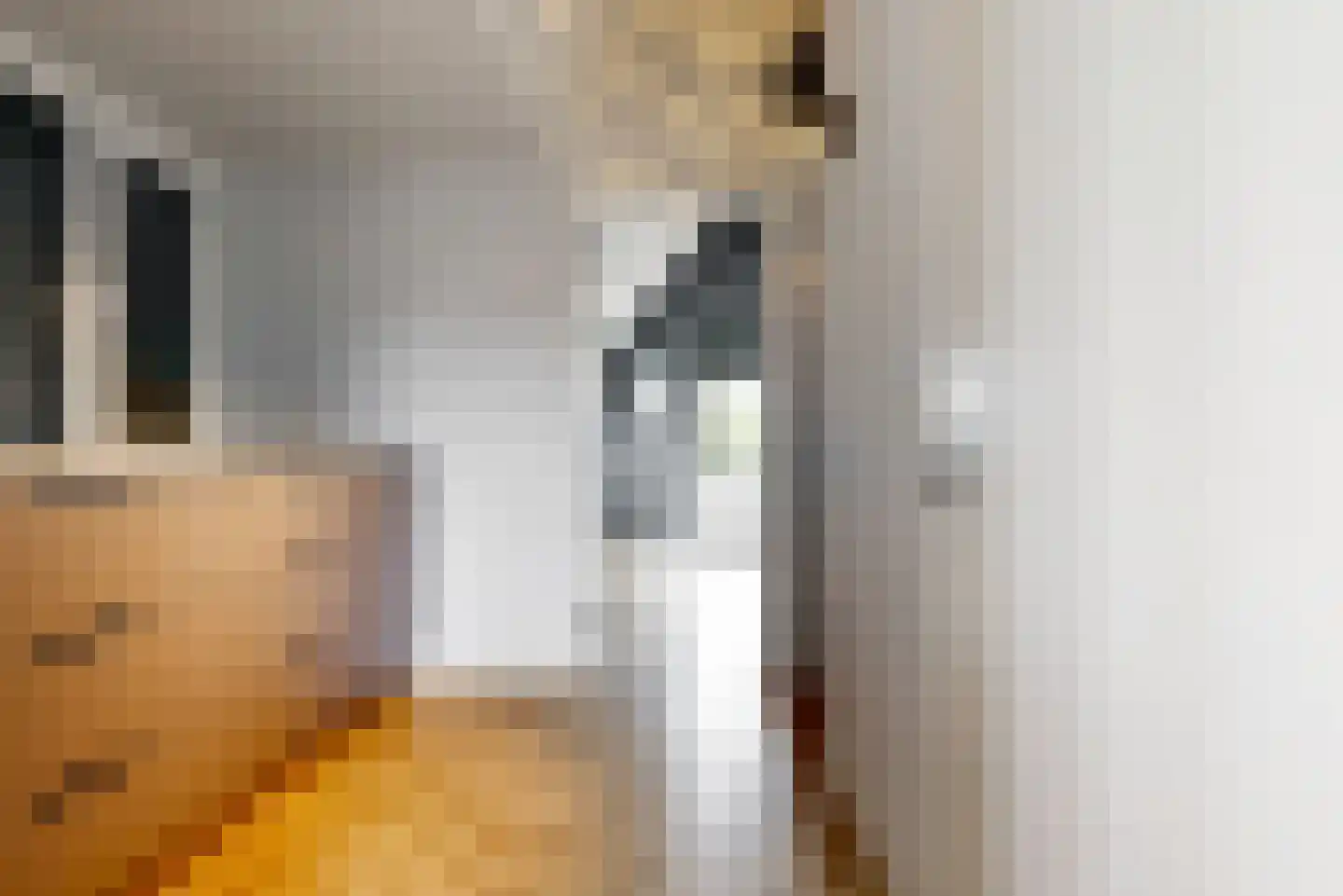 De Welving 24 Wijdewormer thumbnail 36