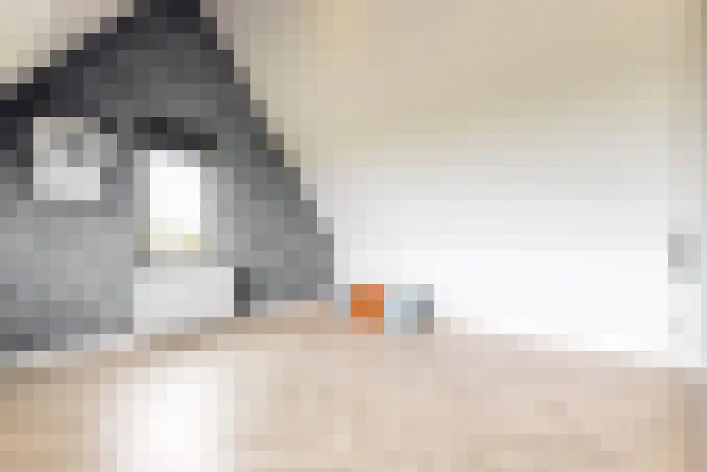 De Welving 24 Wijdewormer thumbnail 37