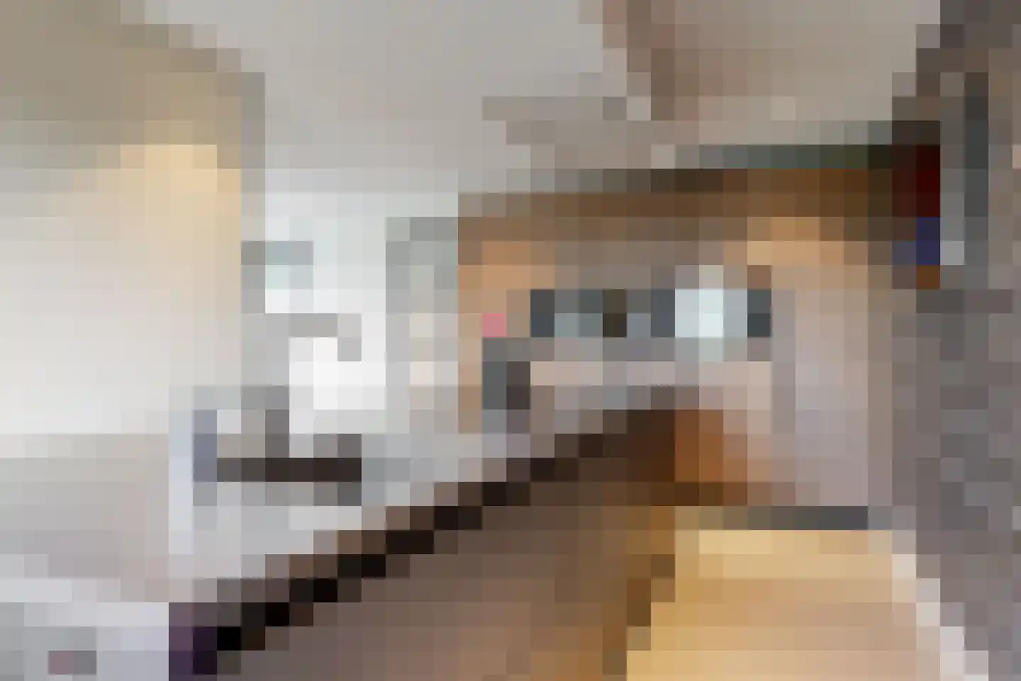 De Welving 24 Wijdewormer thumbnail 4