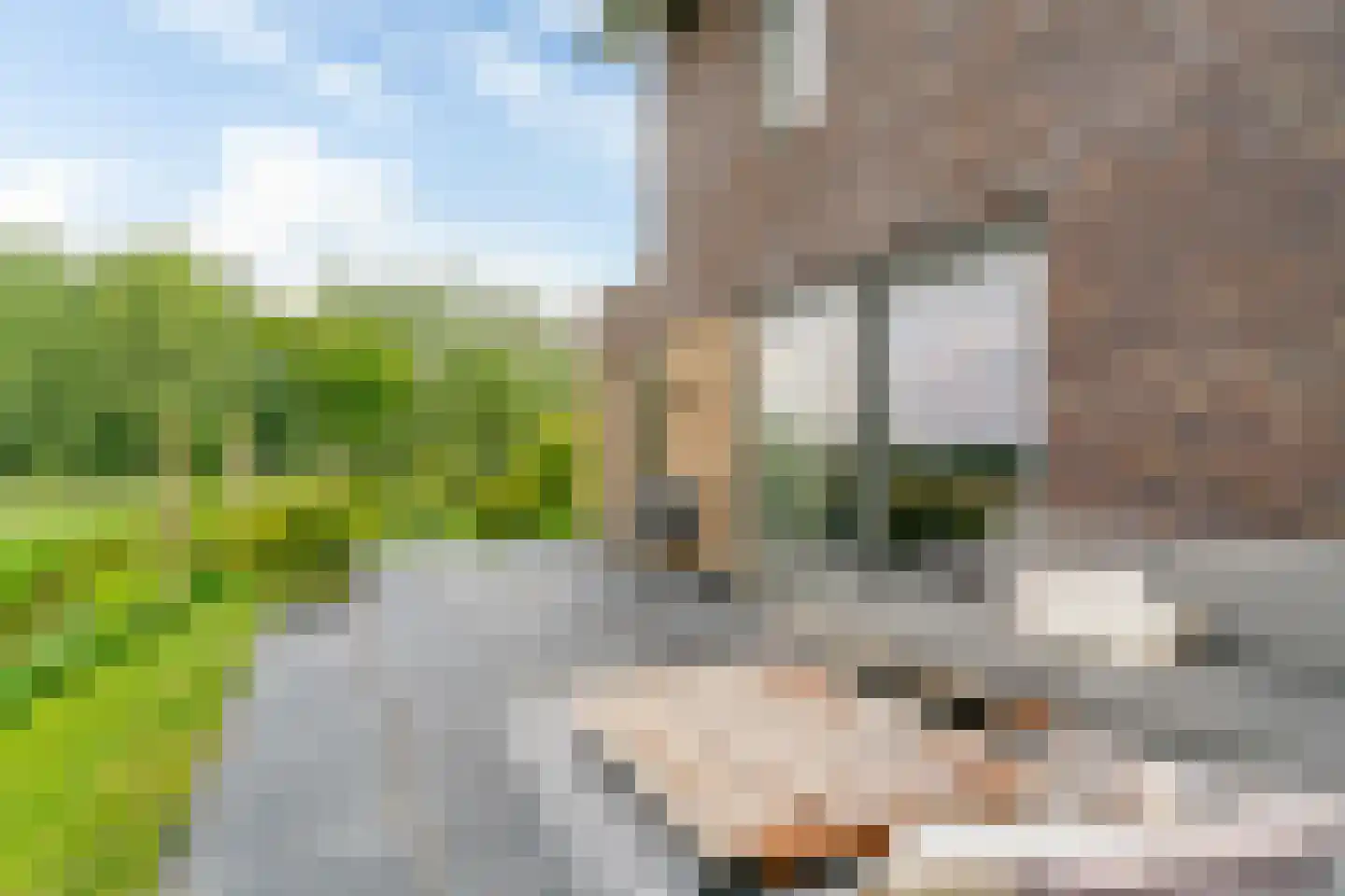 De Welving 24 Wijdewormer thumbnail 42