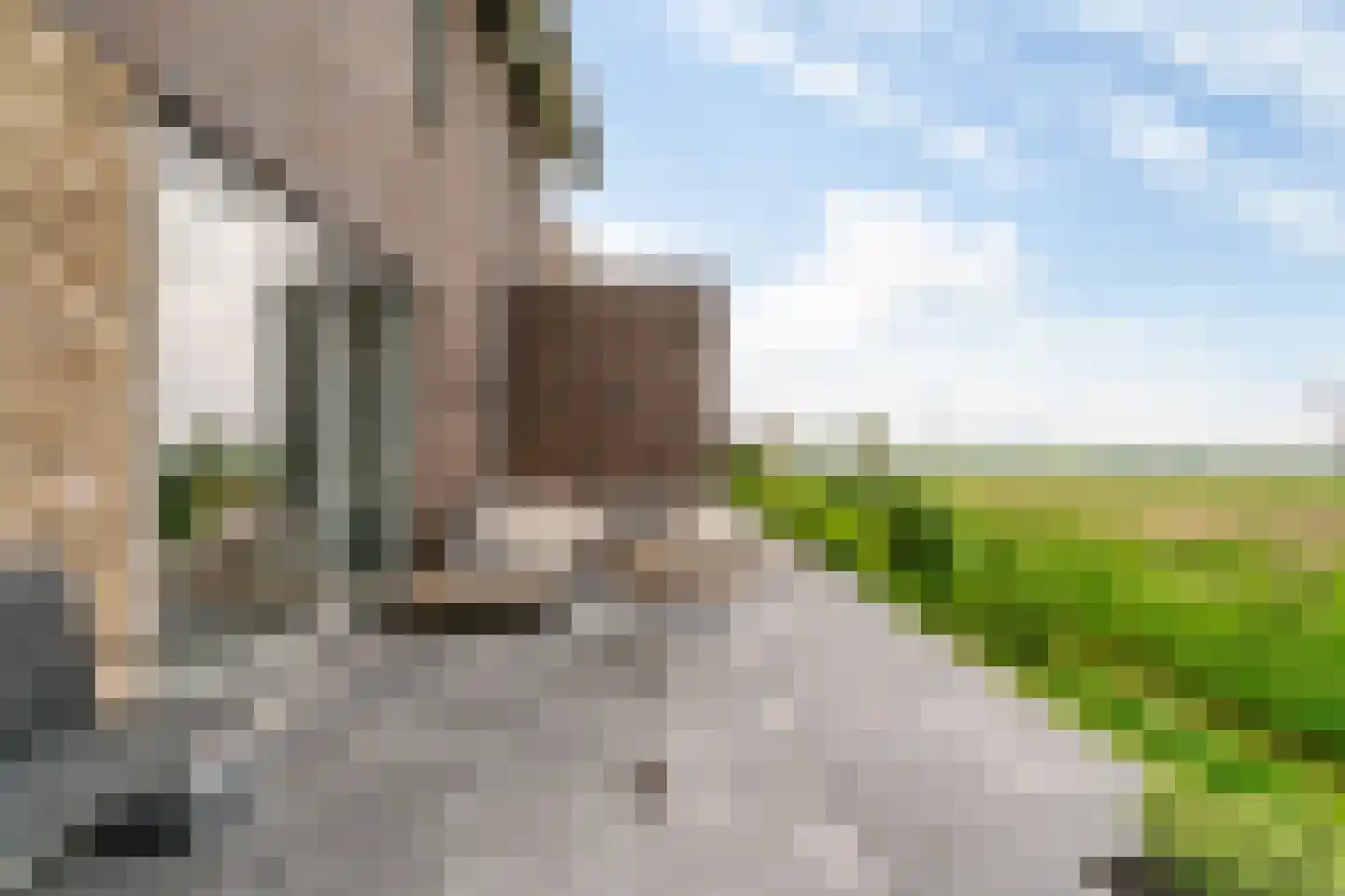 De Welving 24 Wijdewormer thumbnail 43