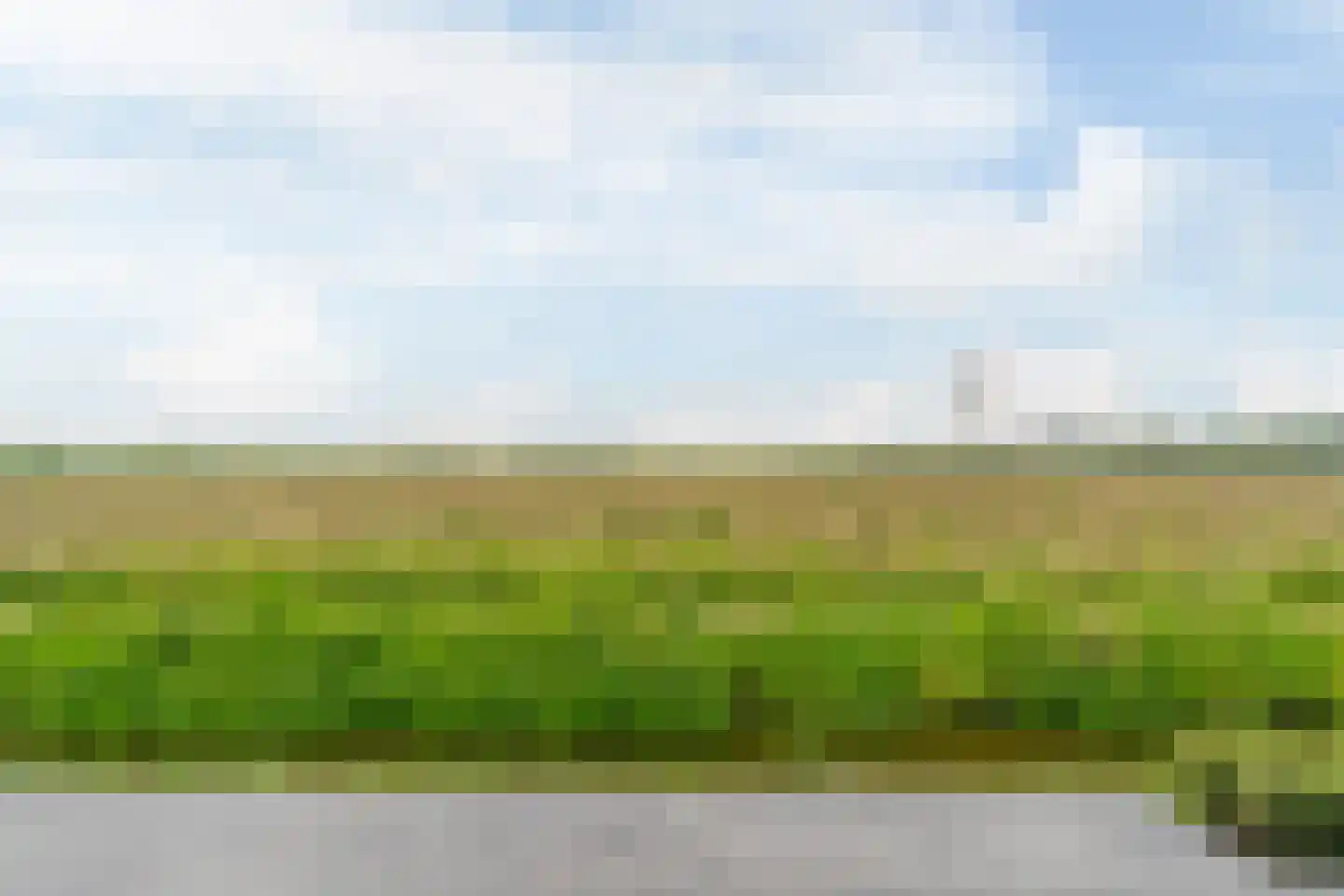 De Welving 24 Wijdewormer thumbnail 45