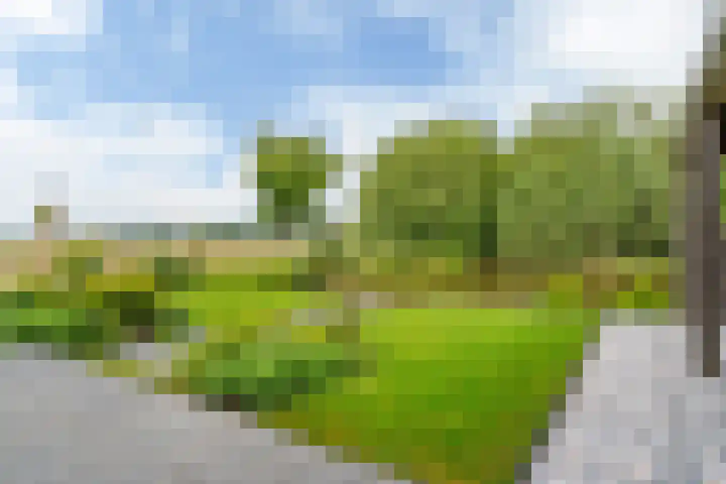 De Welving 24 Wijdewormer thumbnail 52