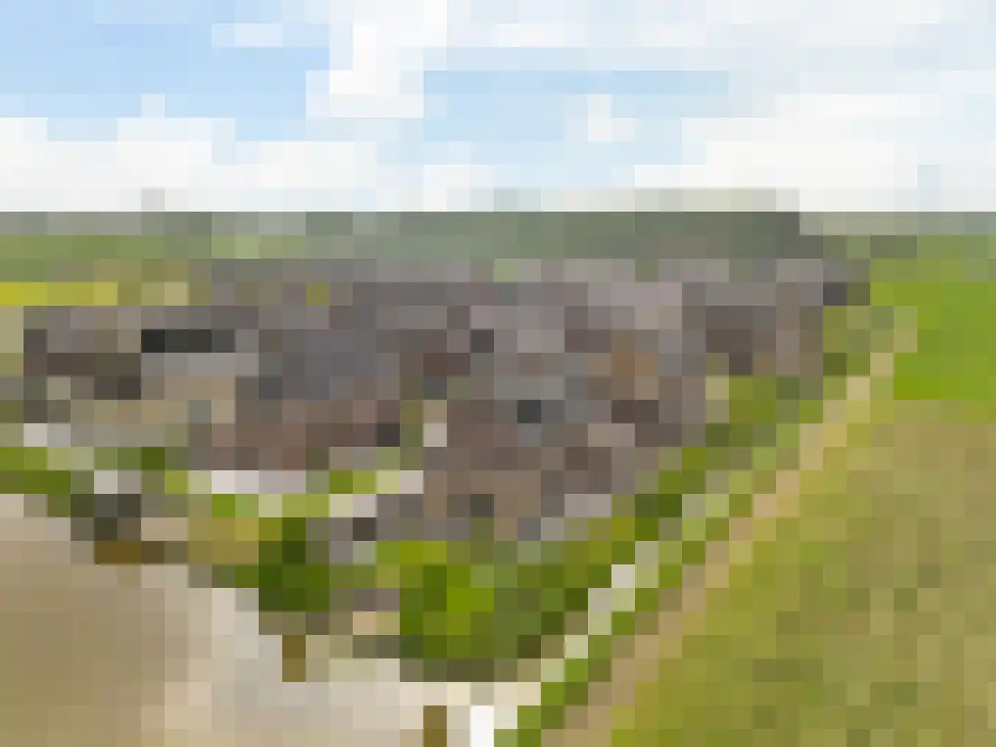 De Welving 24 Wijdewormer thumbnail 62