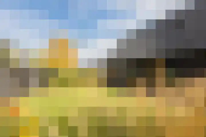 De Wemekamp 8 Den Ham thumbnail 10