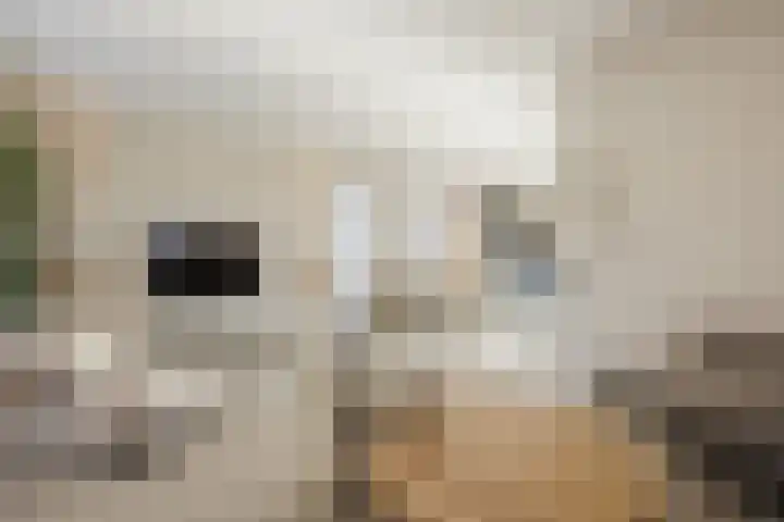 De Wemekamp 8 Den Ham thumbnail 14