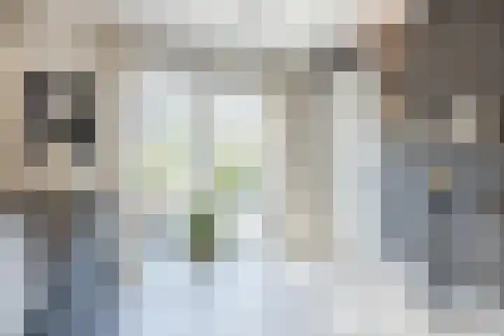 De Wemekamp 8 Den Ham thumbnail 22