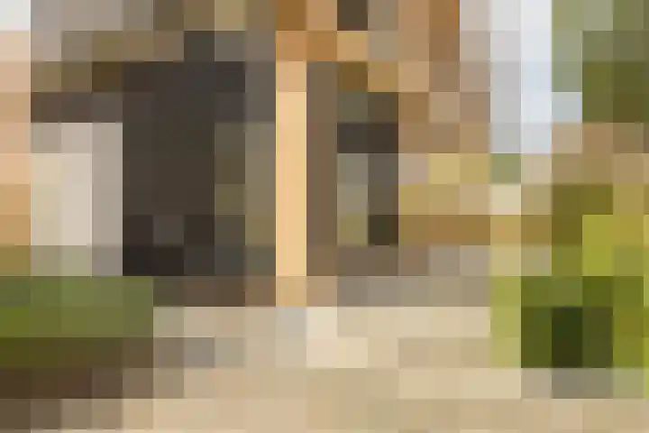 De Wemekamp 8 Den Ham thumbnail 4