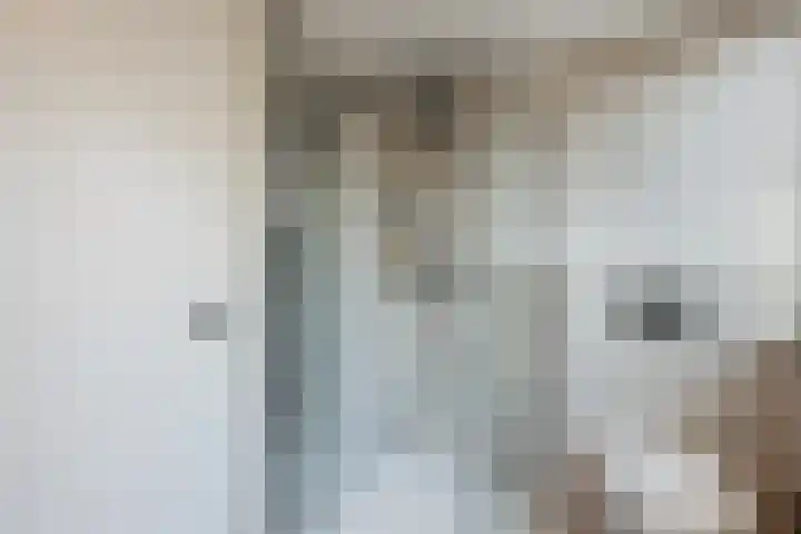 De Wemekamp 8 Den Ham thumbnail 41