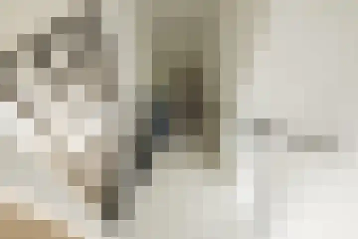 De Wemekamp 8 Den Ham thumbnail 46