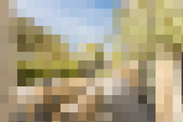 De Wemekamp 8 Den Ham thumbnail 49