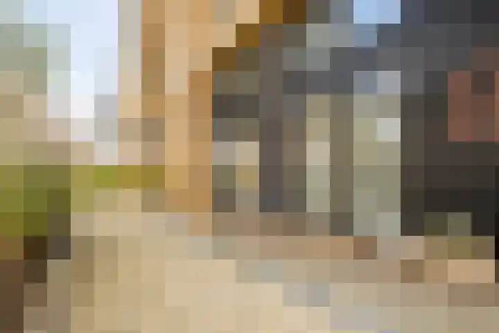 De Wemekamp 8 Den Ham thumbnail 5