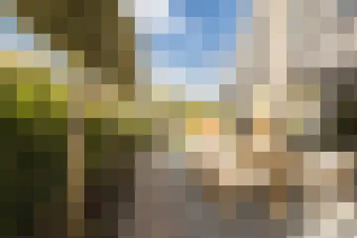 De Wemekamp 8 Den Ham thumbnail 50