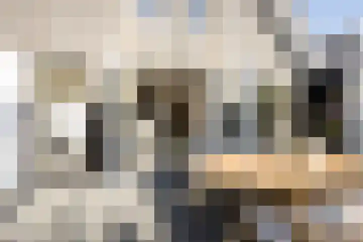 De Wemekamp 8 Den Ham thumbnail 51